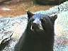 picture_62.jpg