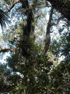 mh05.JPG (88365 bytes)