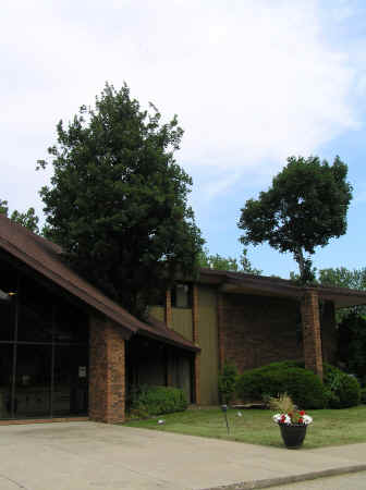 Treesthroug roof.jpg (1046435 bytes)