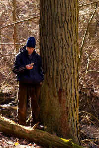 hemlock2_a.jpg (85021 bytes)