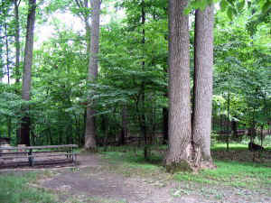 picnic_with_giants1a.jpg (91997 bytes)