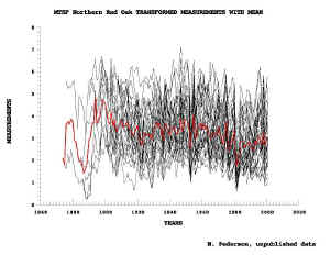 mtsf_spaghetti_plot_2a.jpg (72578 bytes)