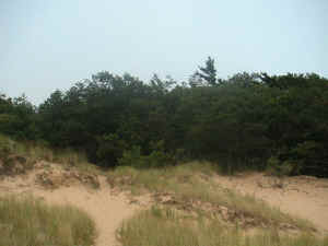 9520.jpg (47157 bytes)