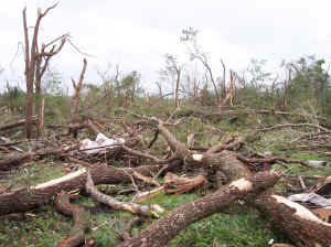 060824_Damage2.jpg (343094 bytes)