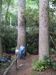 Dad_and_Aven_at_Holmes_Pinea.JPG (103579 bytes)