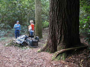 Helen_Holmes_and_her_pinea.JPG (102011 bytes)