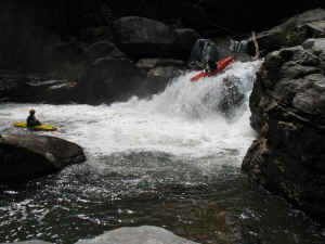 Kayaks2a.jpg (61323 bytes)