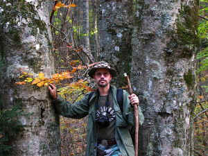 James_Triple_Beech_Shope Creeka.jpg (99553 bytes)