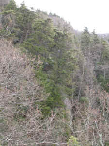 IMG_1167.JPG (113132 bytes)