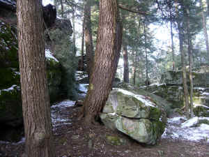 DSCN0649.JPG (8380683 bytes)