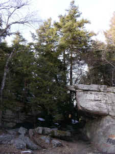 DSCN0653.jpg (2794336 bytes)