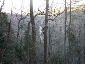 DSCN0614.JPG (8182045 bytes)