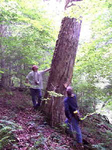 100_2386b.jpg (87559 bytes)
