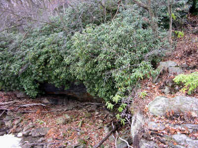 DSCN0614a.jpg (222122 bytes)