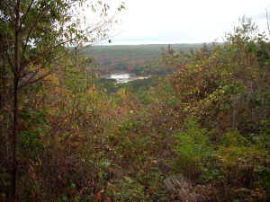 DSCN0063a.JPG (91743 bytes)