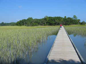 edisto_nature_trail.jpg (153990 bytes)