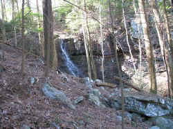 stillhollow2.jpg (97224 bytes)