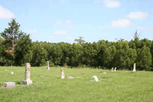 SkyLakeCemetery_cypress1.jpg (51994 bytes)