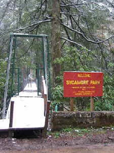 sycamore_park.jpg (66545 bytes)