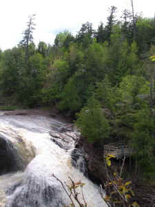 black_river_pines3b.jpg (99225 bytes)
