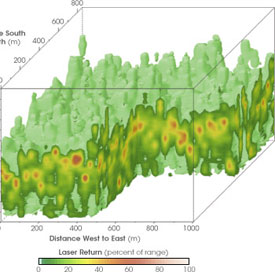 An image produced from the airborne LVIS instrument shows a three