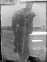 9_4rattler.jpg (53787 bytes)