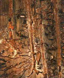 galleries.jpg (29730 bytes)