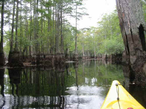 parrish_pond.jpg (43003 bytes)