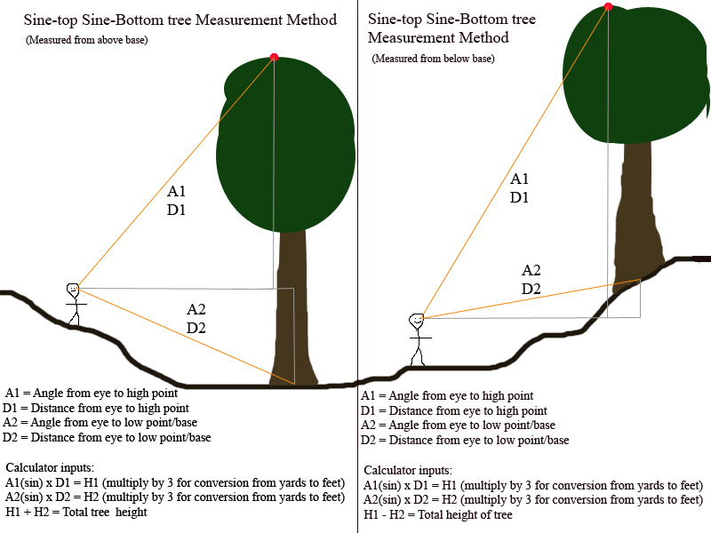 Tsuga Search Measurement Protocols