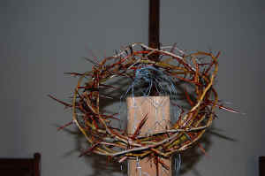 Crown of Thorns_Cross.JPG (48377 bytes)