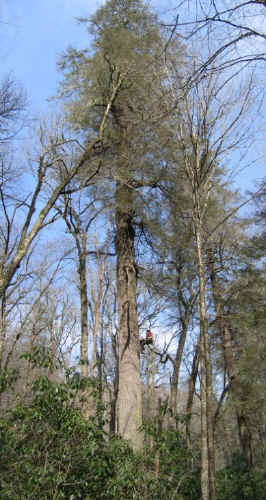 will_on_trunk2.jpg (97975 bytes)