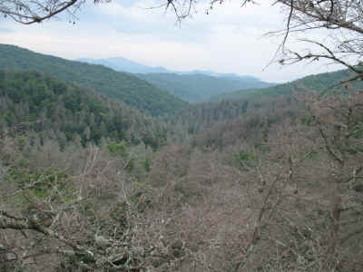 Colleague-_View_down_Caldwell_Fork-_Big_Fork_Ridge_on_mid-horizon.JPG (162557 bytes)