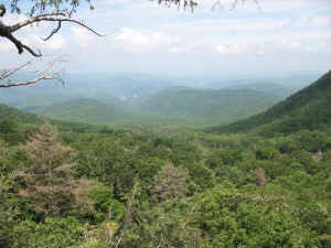 IMG_1181.jpg (67428 bytes)