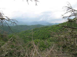 IMG_1299.jpg (65229 bytes)