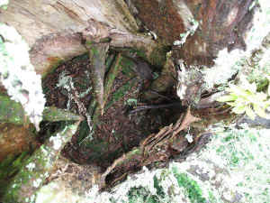 IMG_1351.jpg (88649 bytes)