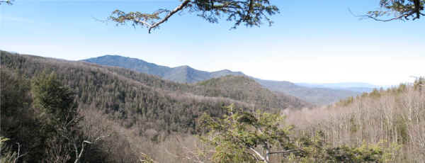 Vista_northwest.jpg (79334 bytes)