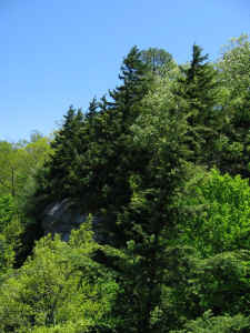 IMG_6464.JPG (117720 bytes)
