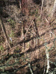 blowdown_from_above.jpg (109095 bytes)