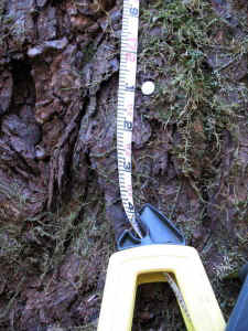 tape_drop.jpg (81934 bytes)