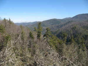 view_from_top.jpg (68285 bytes)