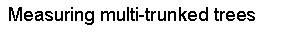 Text Box: Measuring multi-trunked trees