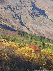 14-2485_IMG.jpg (131036 bytes)