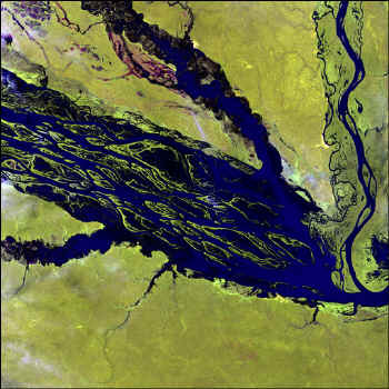 landsat_jau_artII.jpg (139797 bytes)
